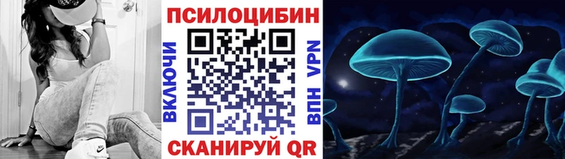 Псилоцибиновые грибы Psilocybe  Купить  Нерехта 
