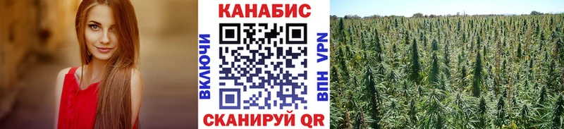 Бошки Шишки THC 21%  Купить закладки  Нерехта 